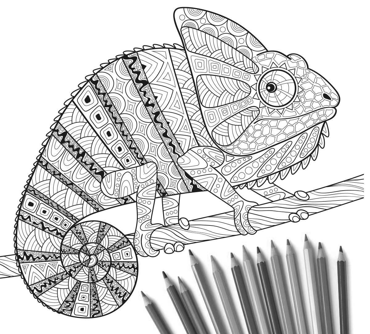 Magic chameleon coloring page