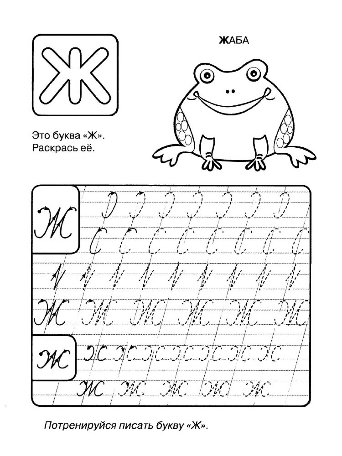 Учимся писать буквы. Прописная буква ж для дошкольников. Прописи буквы ж для дошкольников прописная. Прописи буква ж прописная. Буква ж строчная пропись.