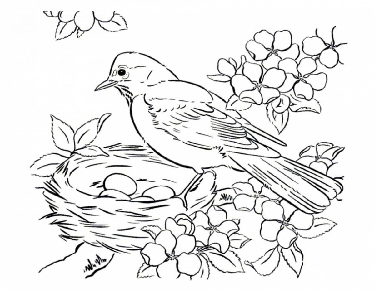 Весенние птицы раскраска