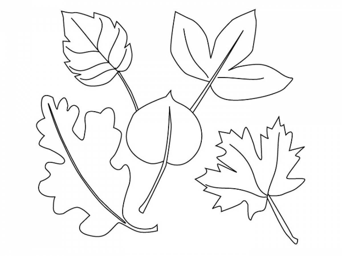 Дерево с листочками раскраска для детей