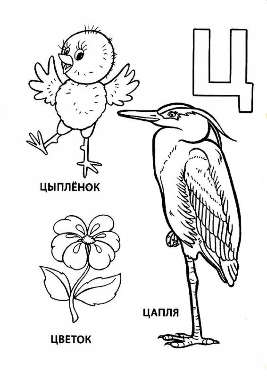 Картинки на ц