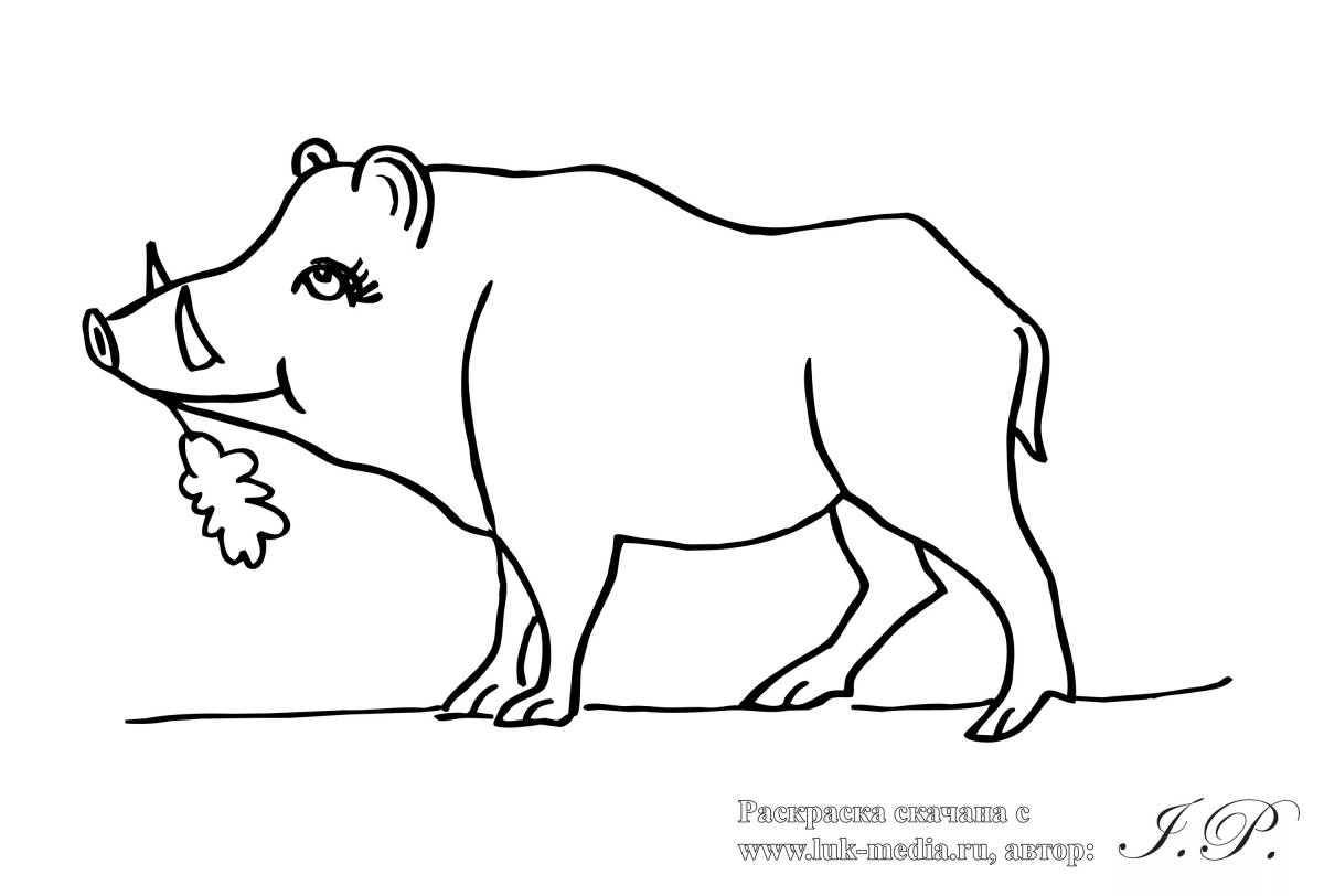 Кабан раскраска для детей распечатать