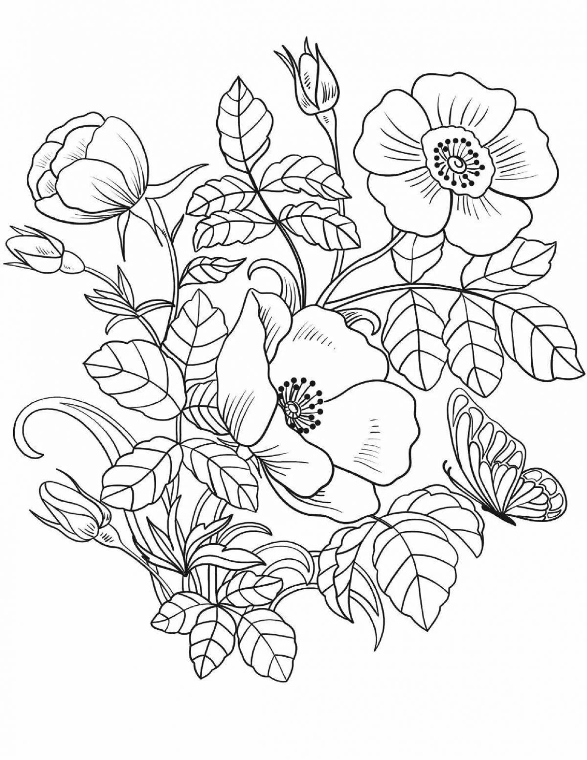 Gorgeous flowers coloring pages