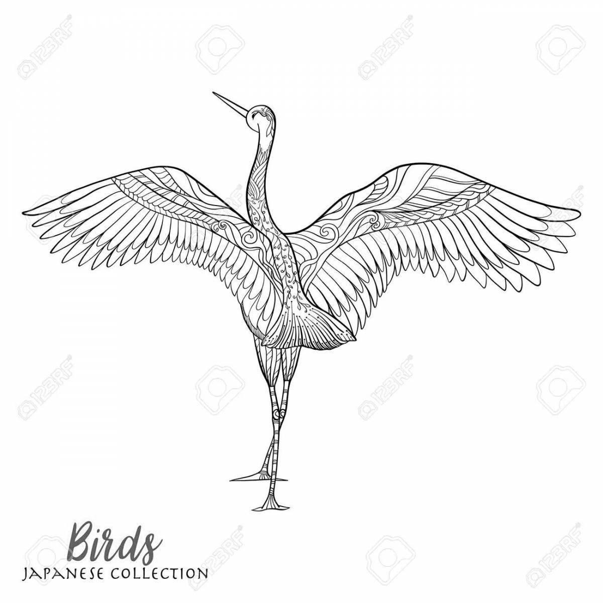 Coloring page magnificent Siberian Crane