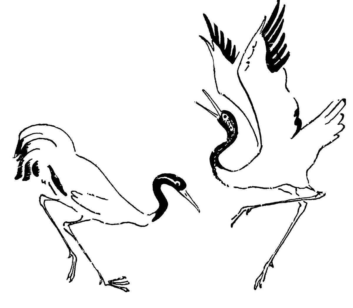 Exquisite Siberian Crane coloring