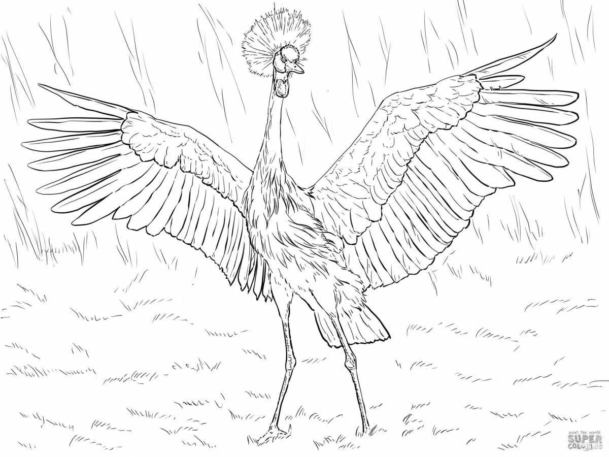 Coloring page graceful Siberian Crane
