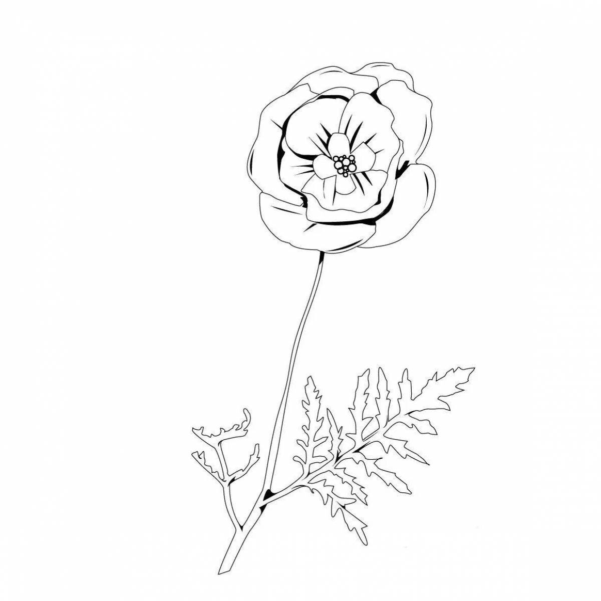 Great magician coloring book