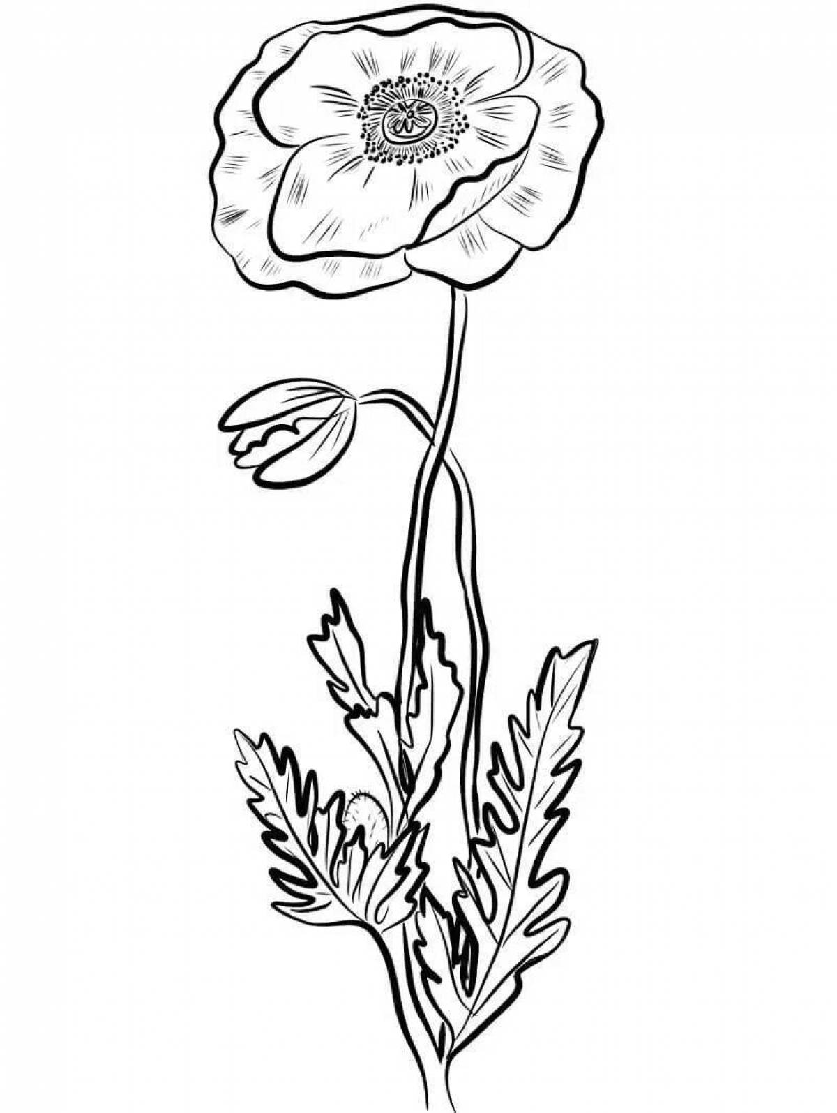 Playful magician coloring book