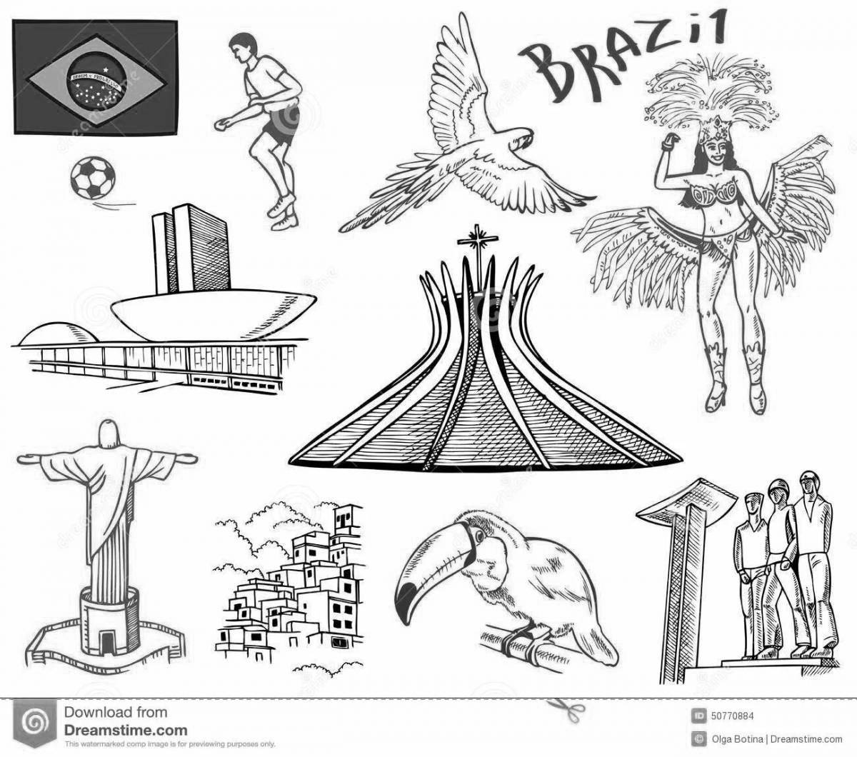Dynamic brazil coloring book