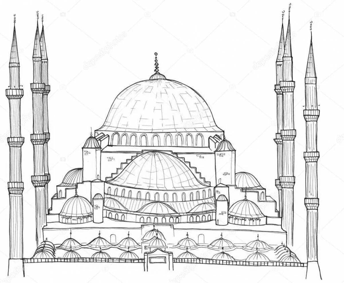 Charming istanbul coloring book