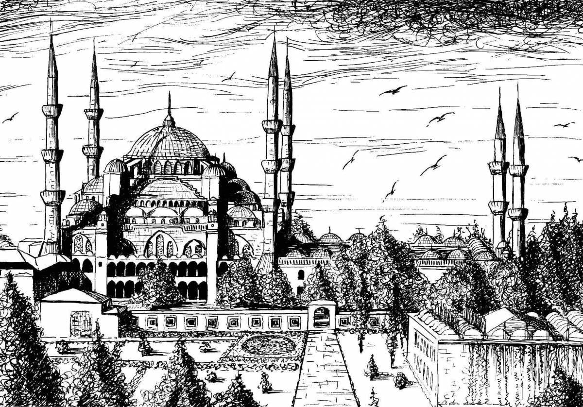 Exquisite istanbul coloring book