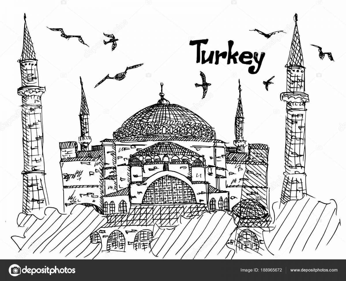 Awesome coloring of istanbul