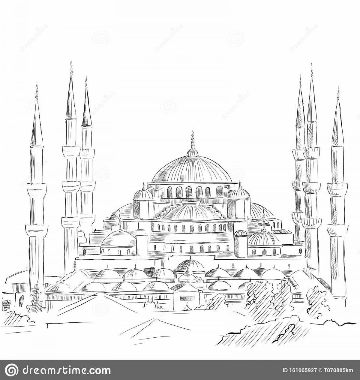 Delightful coloring of istanbul