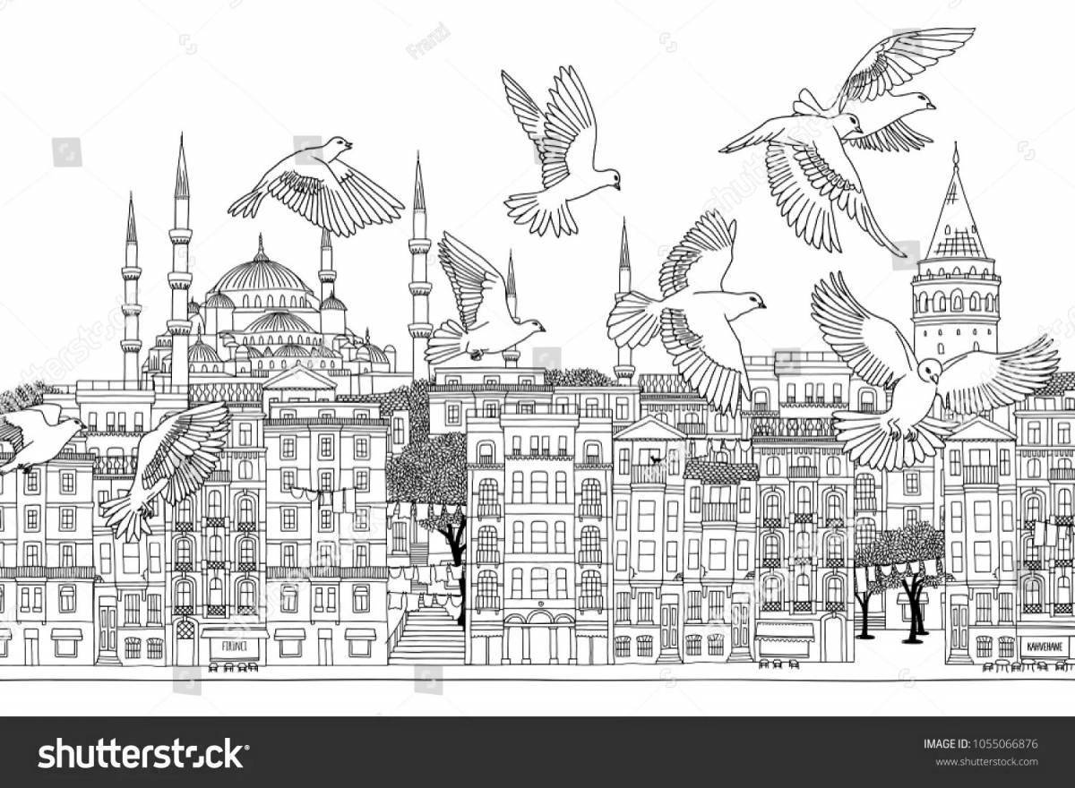 Colouring serene istanbul