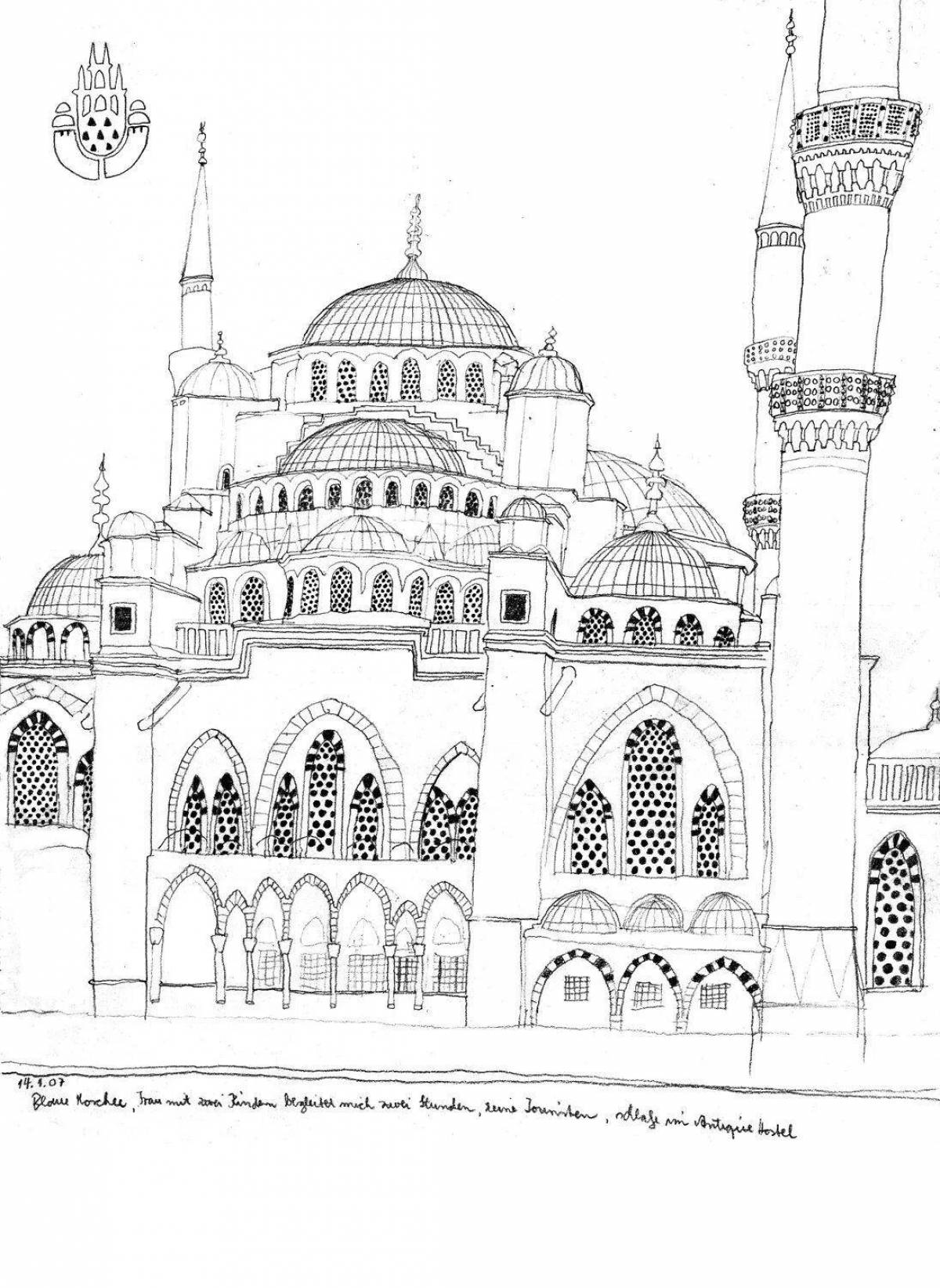 Coloring quirky istanbul