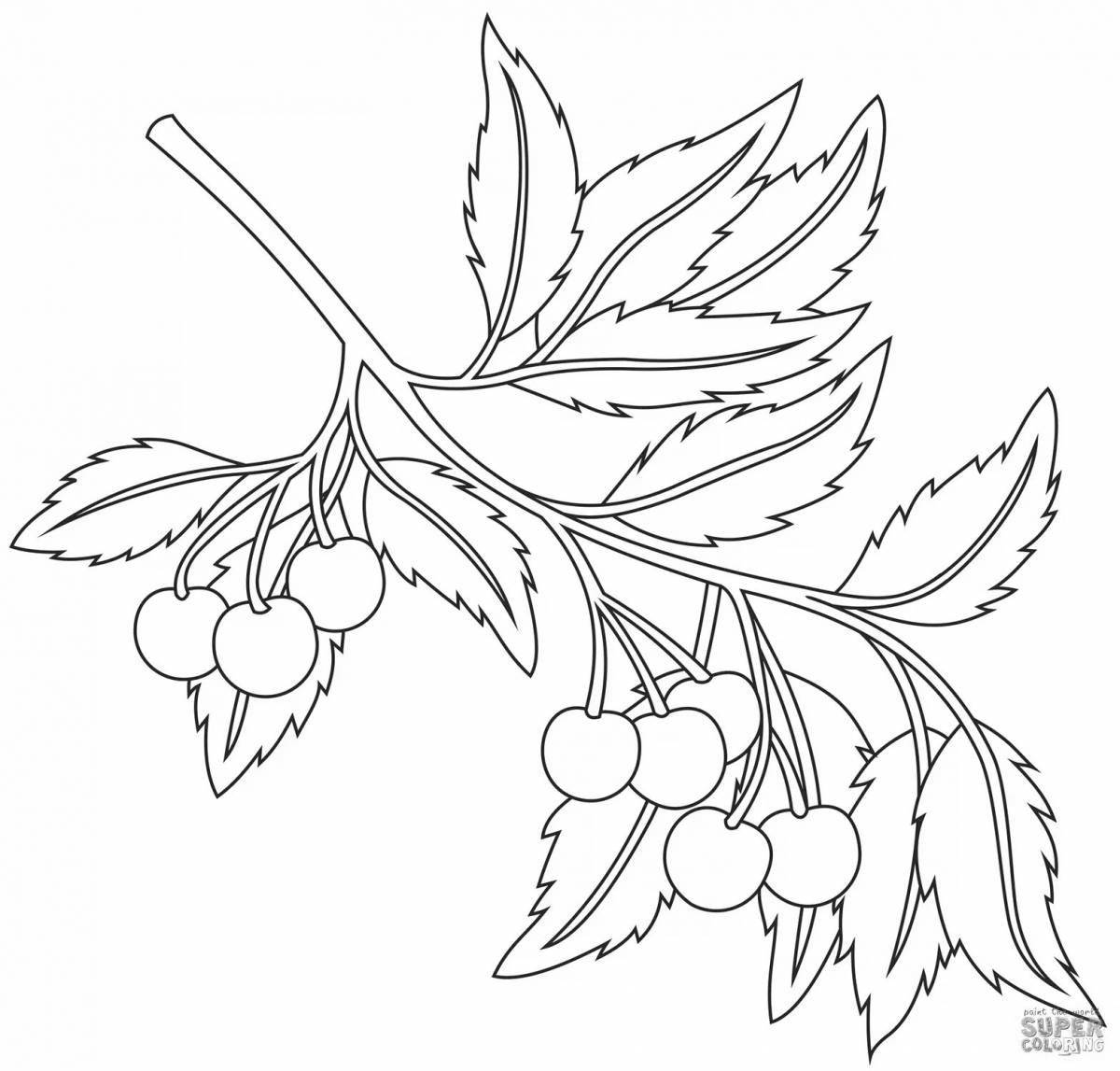 Photo Joyful cherry coloring