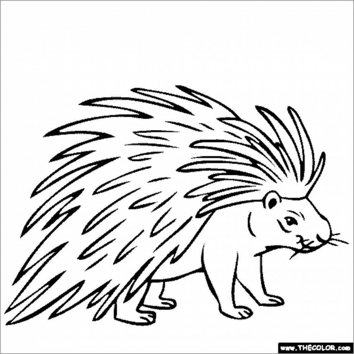 Coloring page beautiful echidna