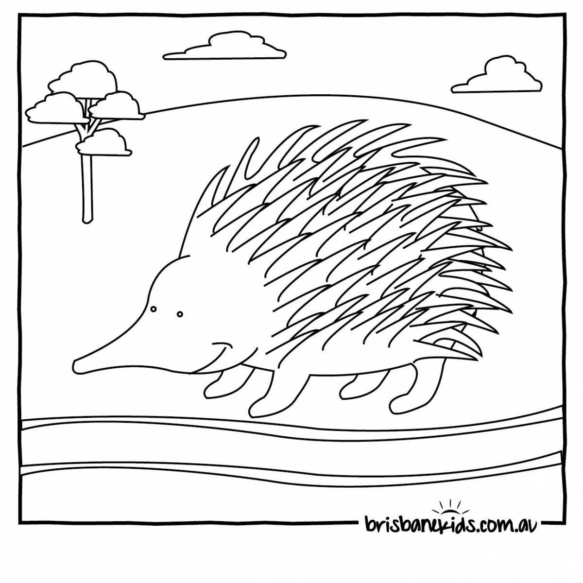 Coloring page charming echidna