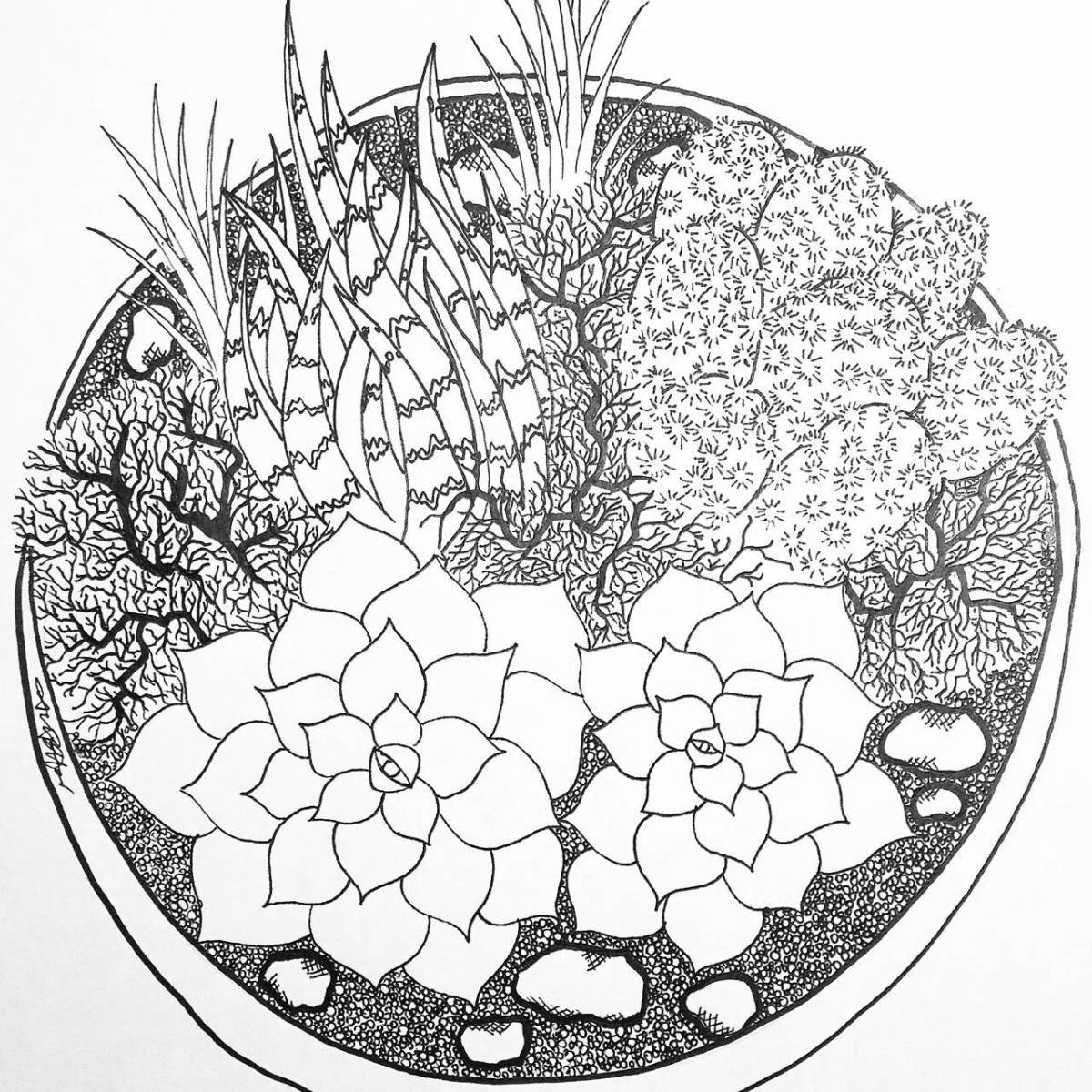 Luxury coloring pages of succulents