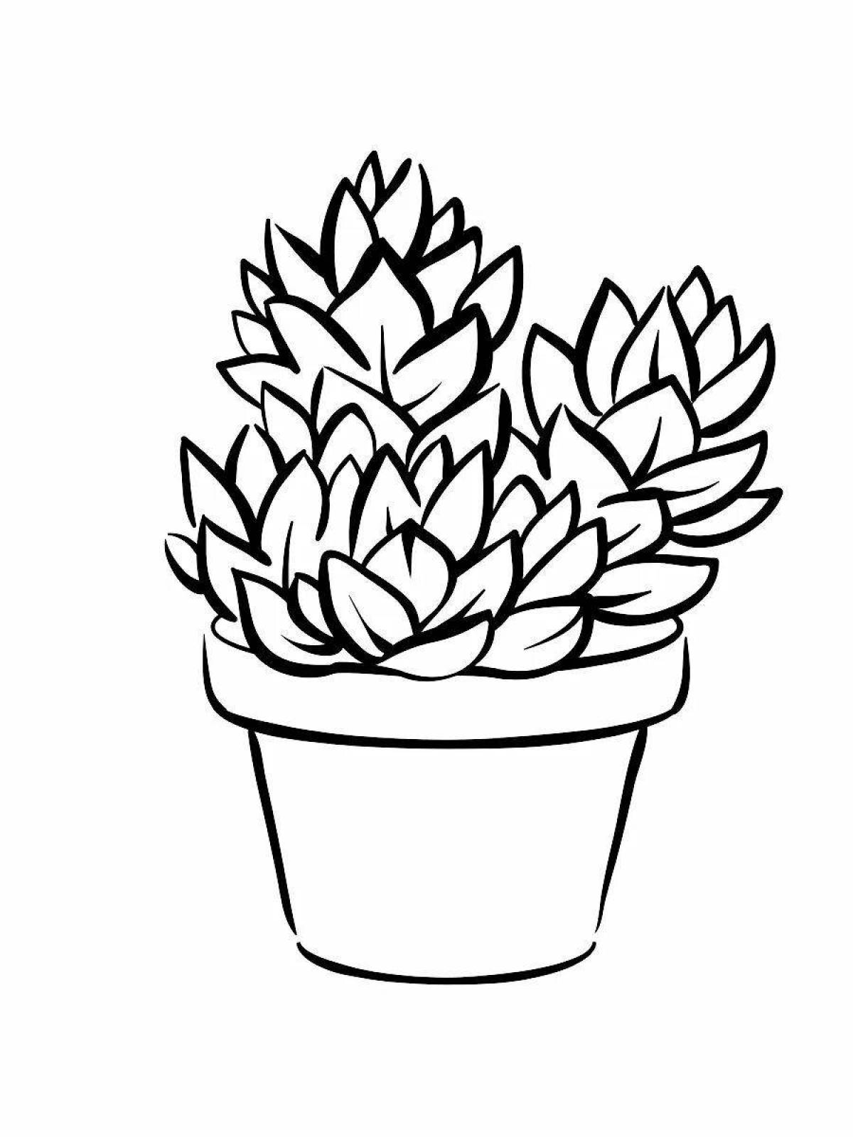 Majestic succulent coloring pages