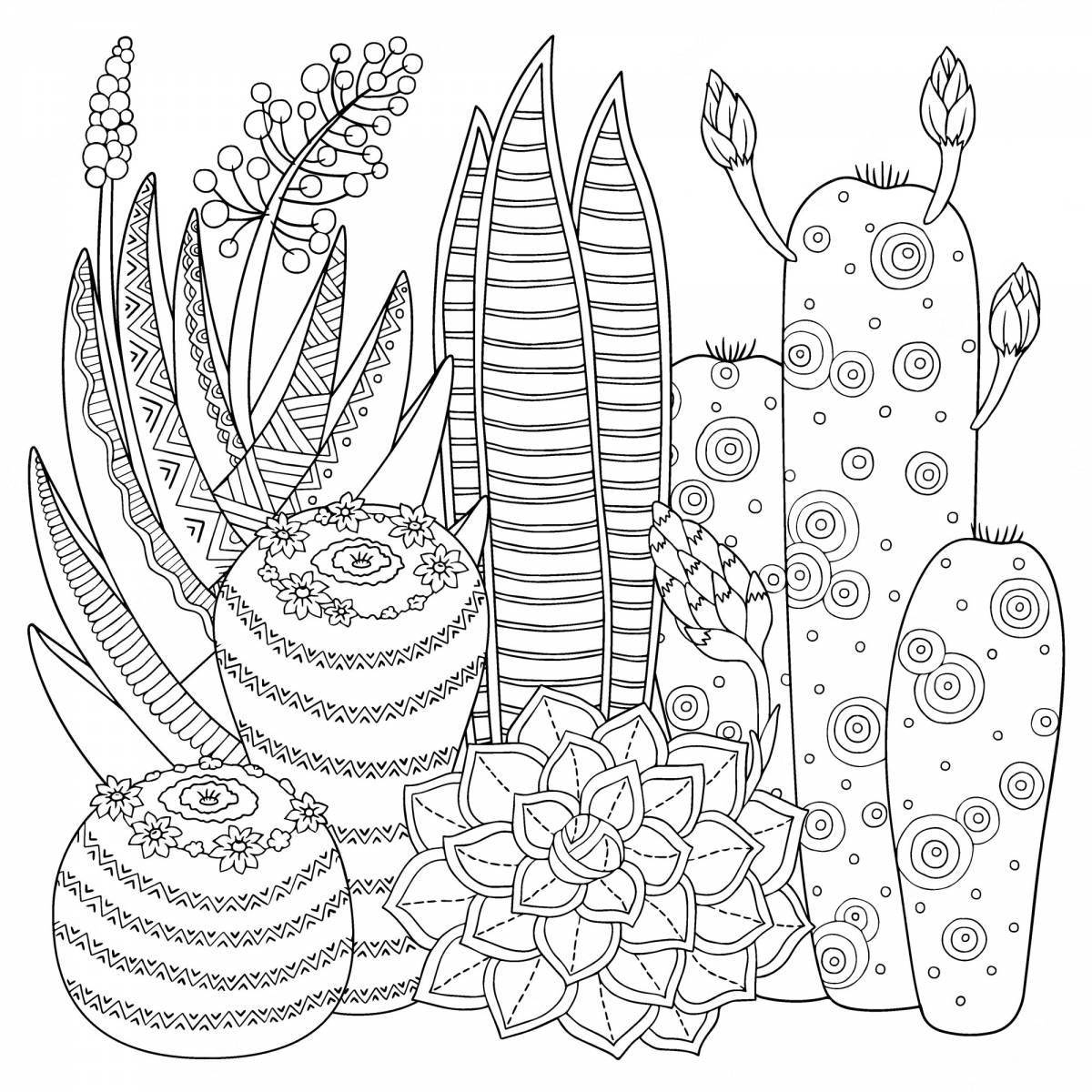 Colorful succulent coloring pages