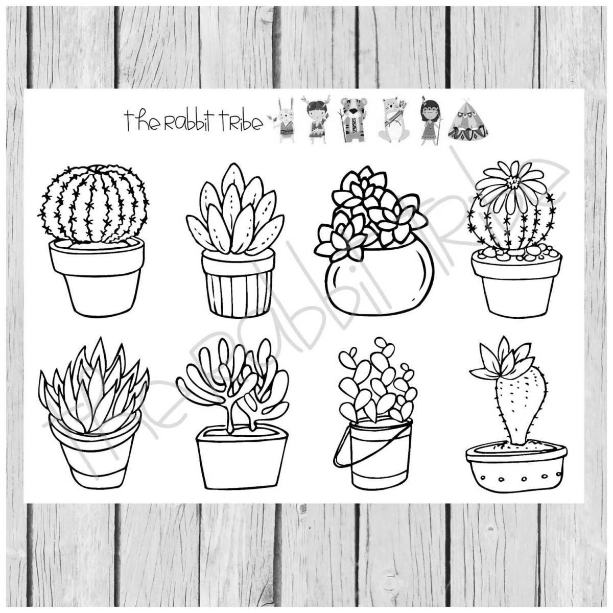 Adorable succulent coloring pages