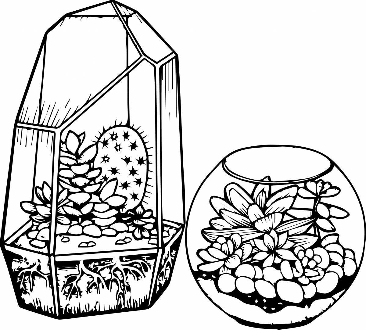 Elegant succulent coloring pages