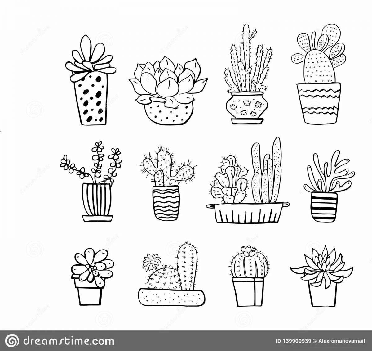 Serene coloring pages of succulents