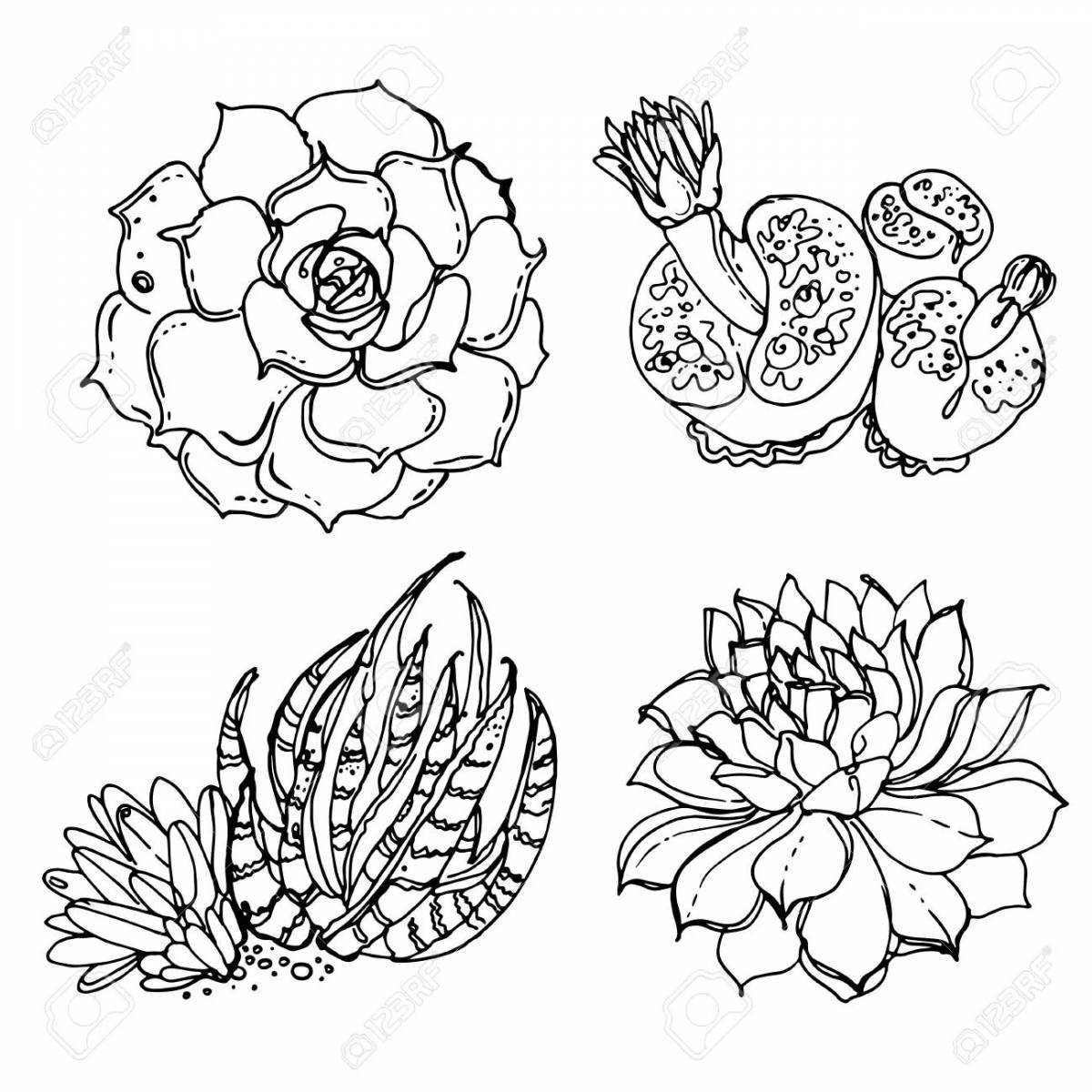 Awesome succulent coloring pages