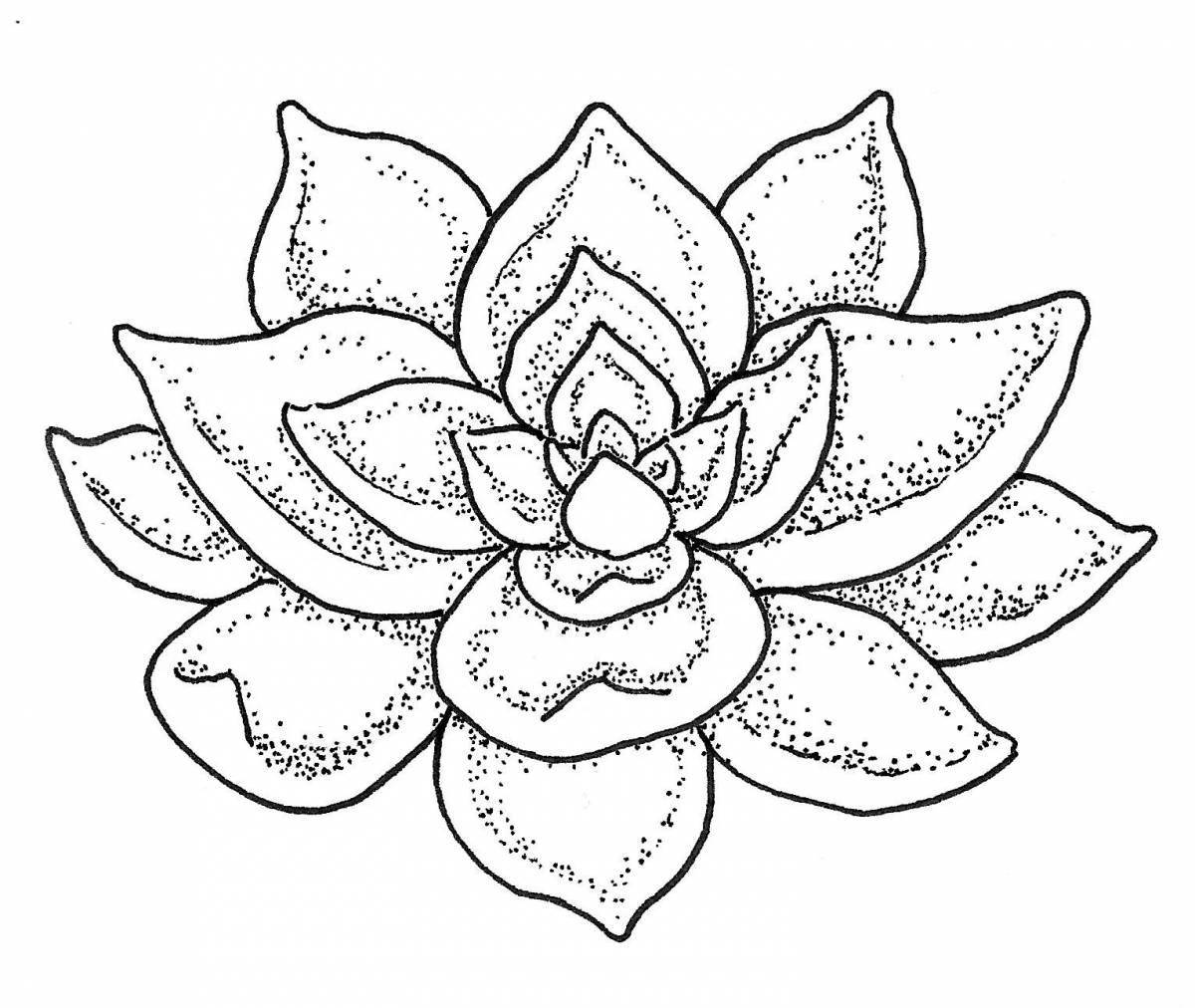 Fun coloring pages of succulents