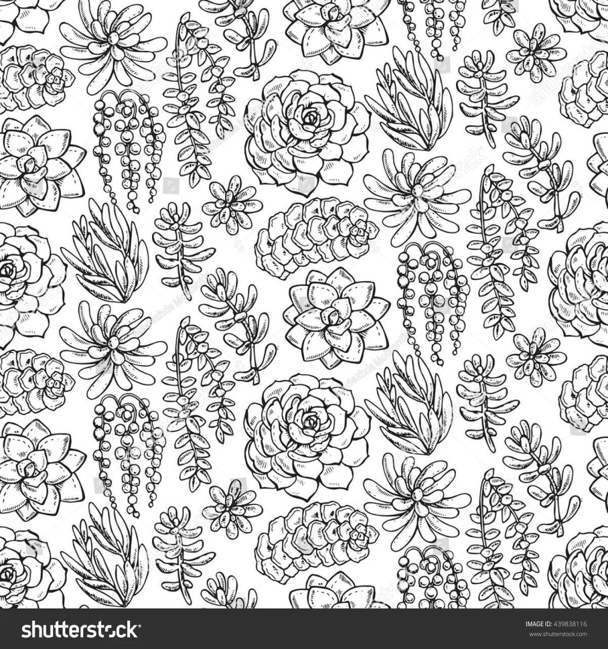 Succulents in bloom coloring pages