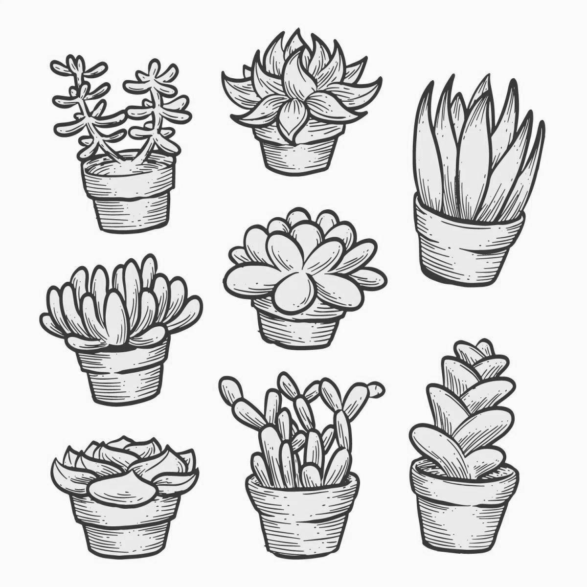 Luxury coloring pages of succulents