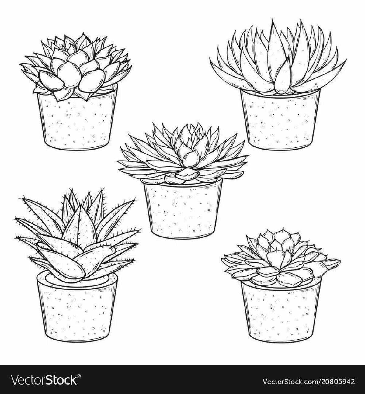 Succulent glamor coloring pages