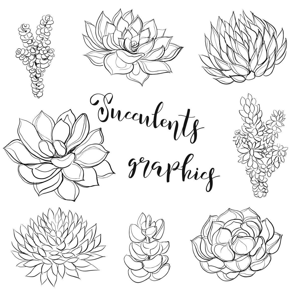 Great coloring succulents