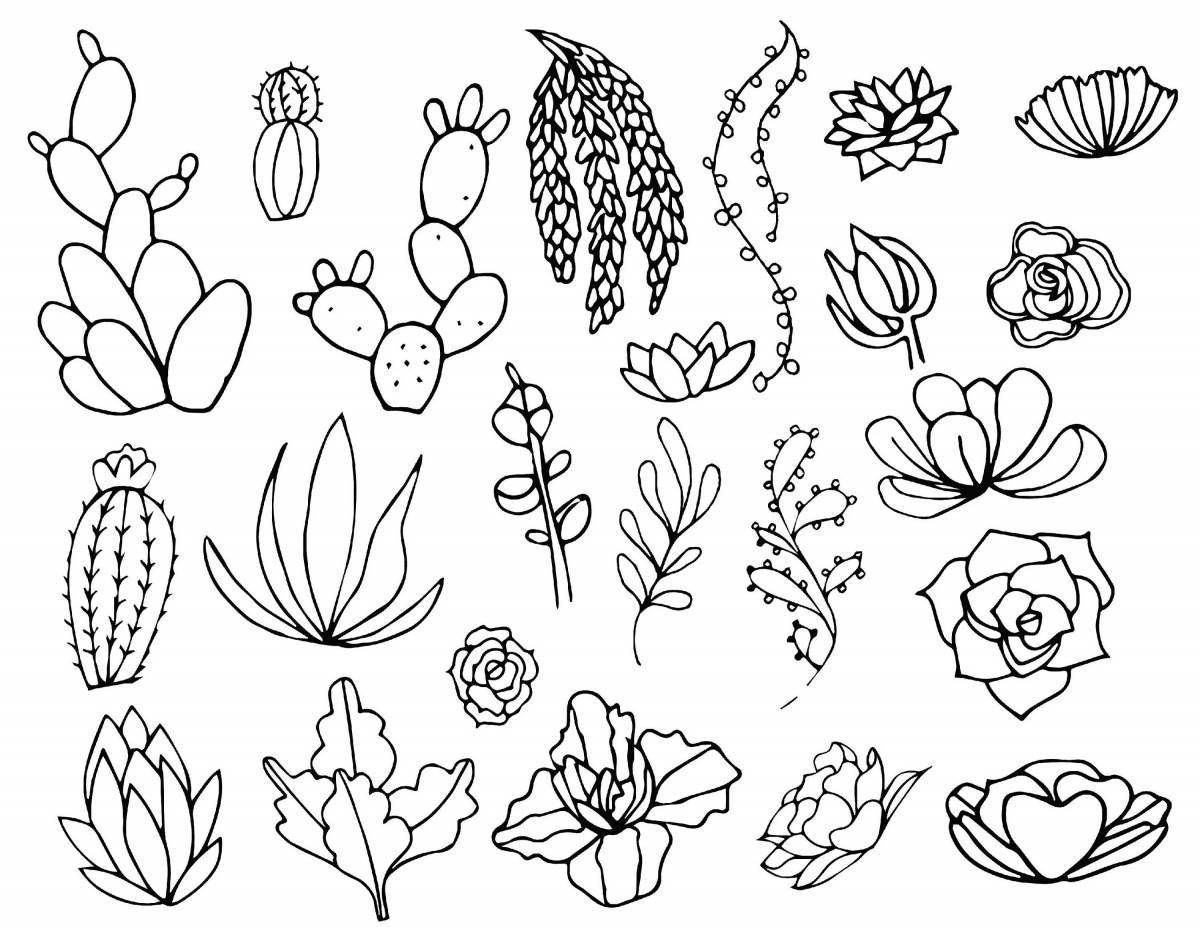 Royal coloring succulents
