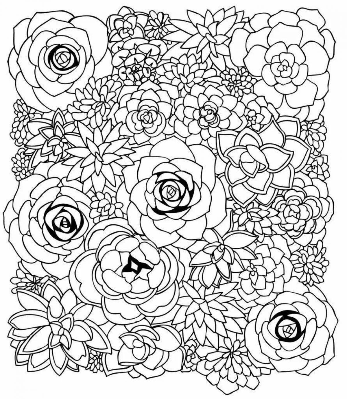 Violent coloring pages succulents