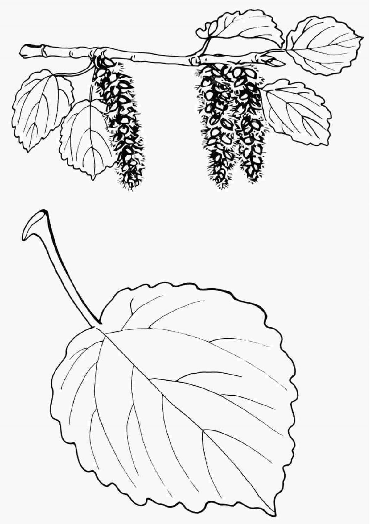 Beautiful aspen coloring page