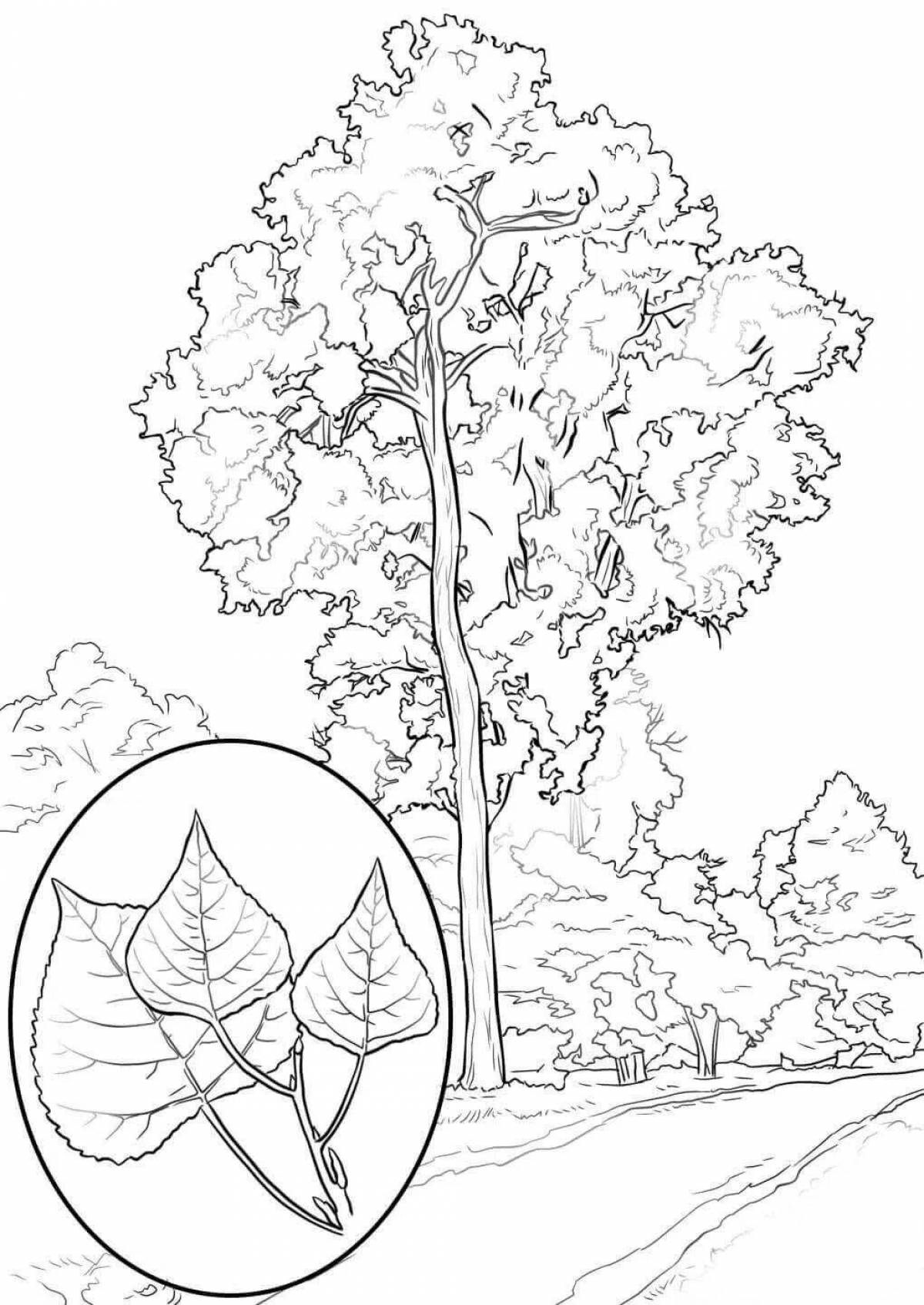 Glowing aspen coloring page