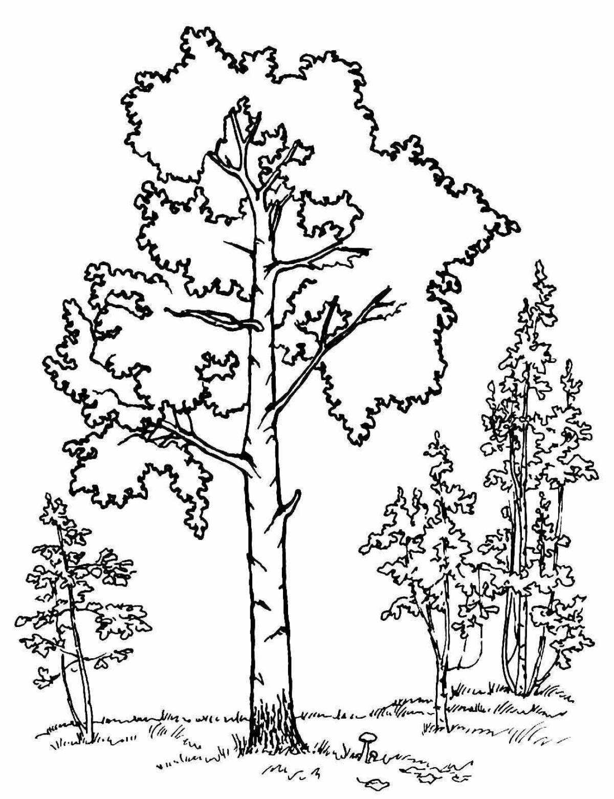 Animated aspen coloring page