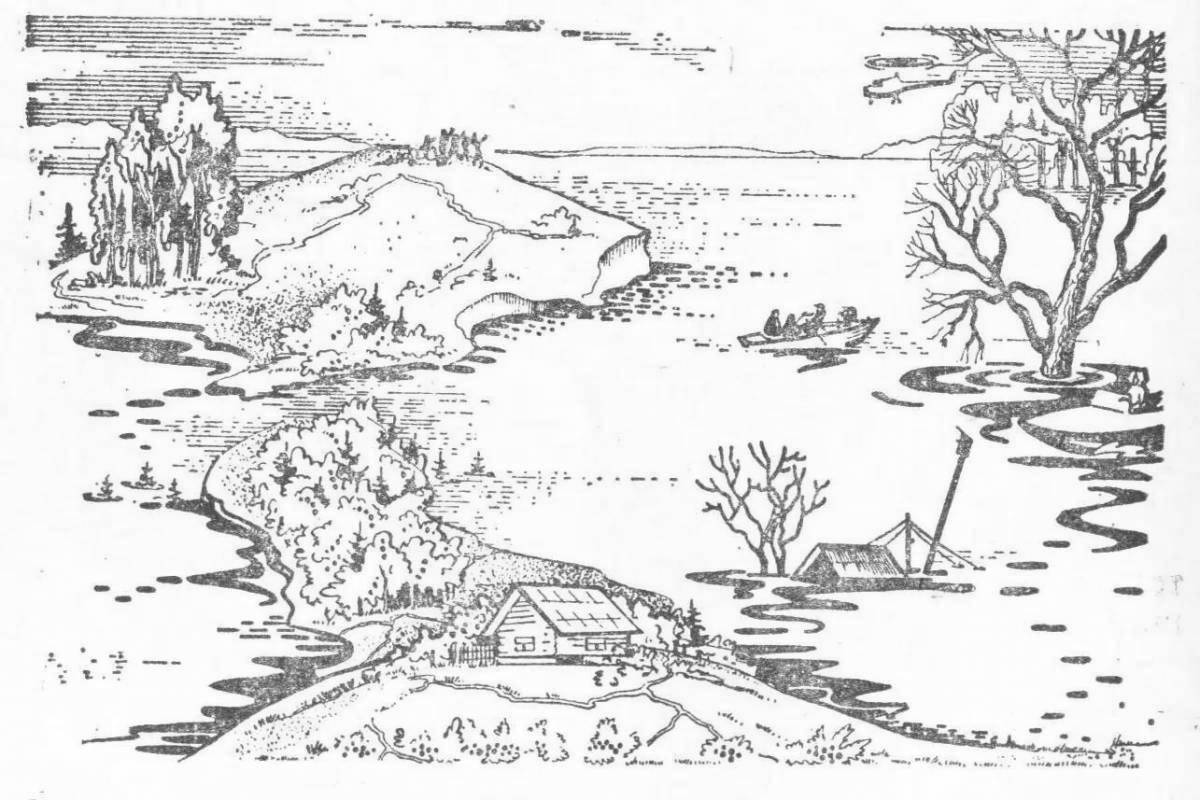 Beautiful coloring flood