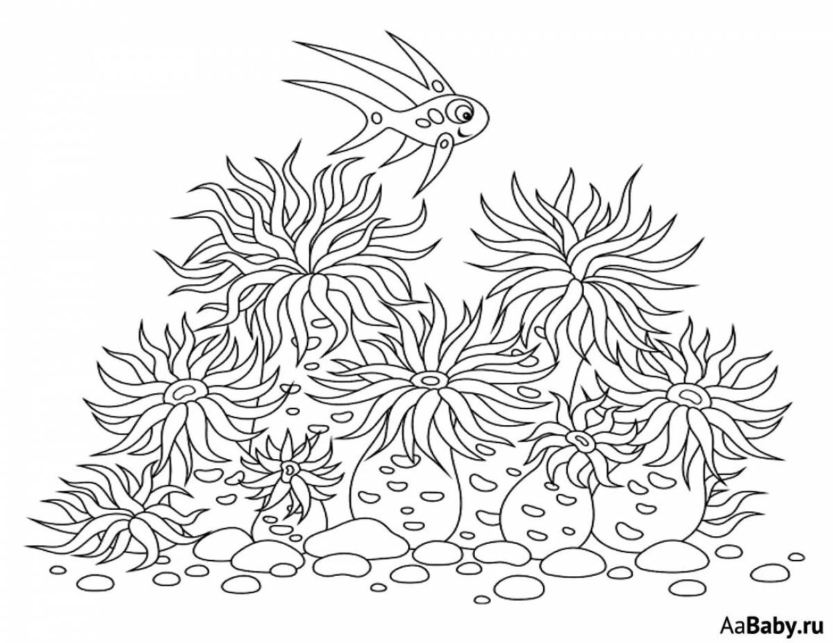 Exalted sea anemones