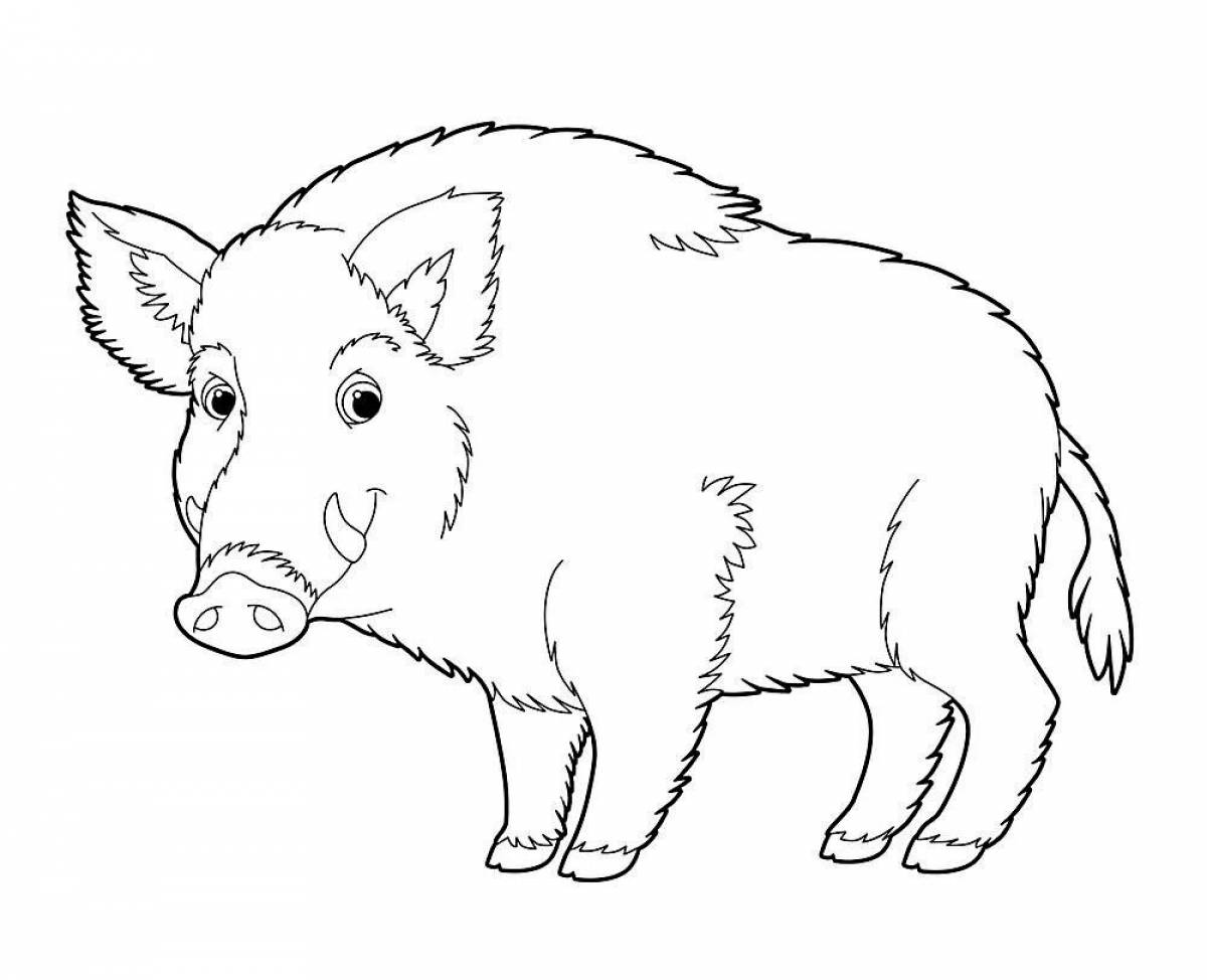 Coloring page amazing boar