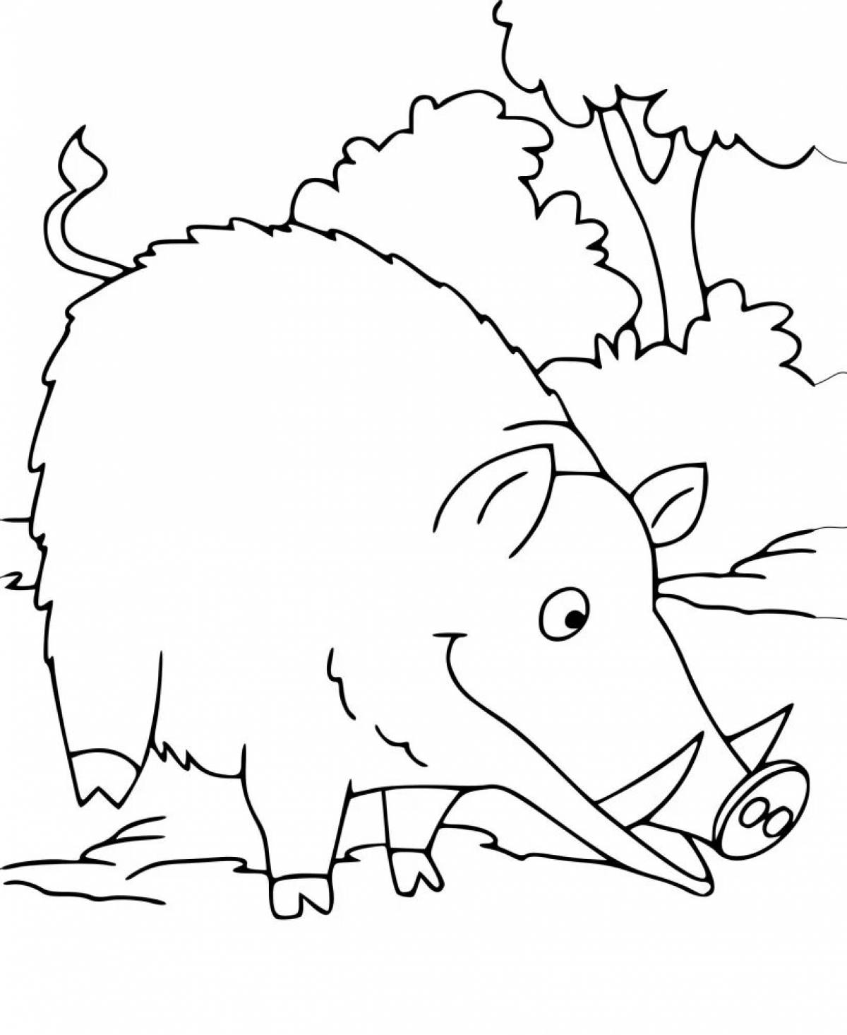 Coloring book shining boar
