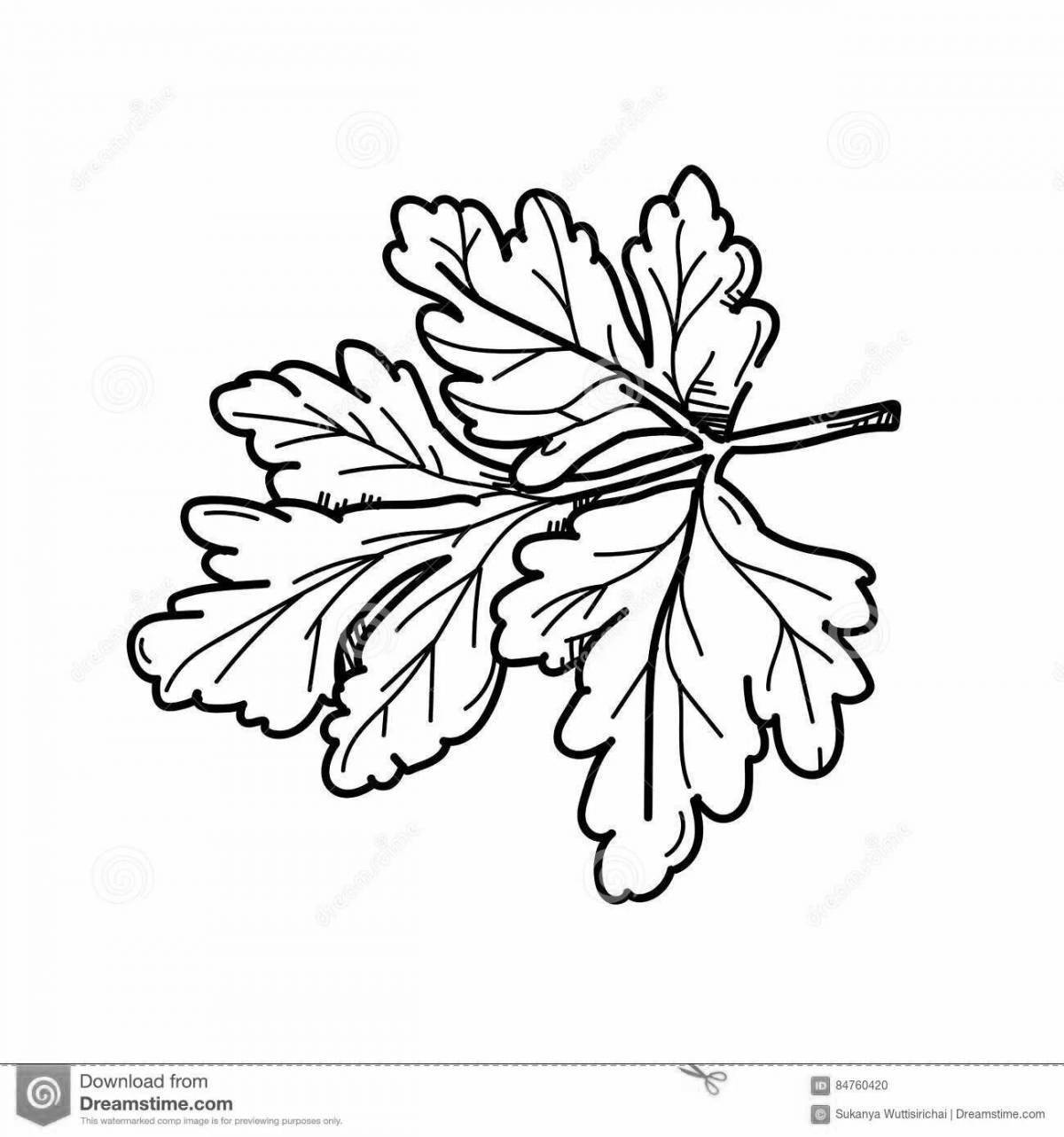 Flowering greenery coloring page