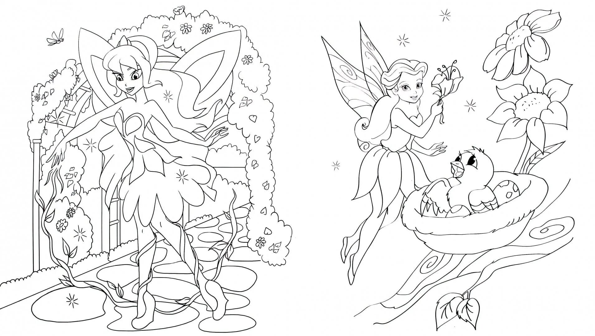 Surreal coloring fairy fairies