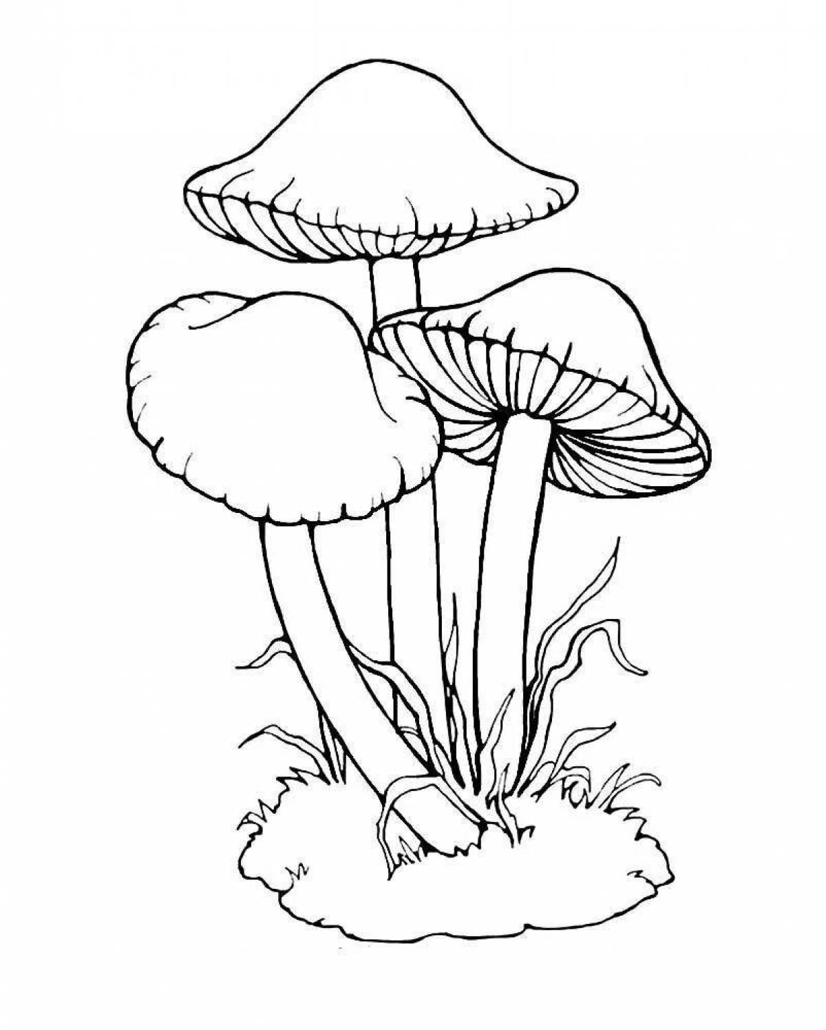 Multicolored inedible mushrooms