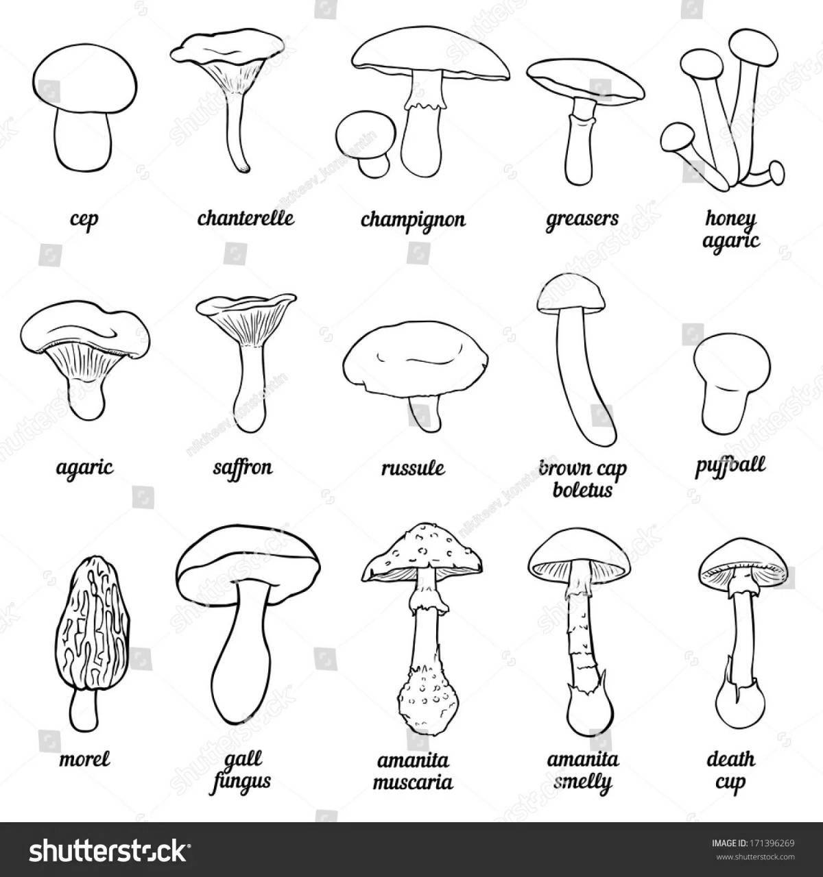 Bright inedible mushrooms