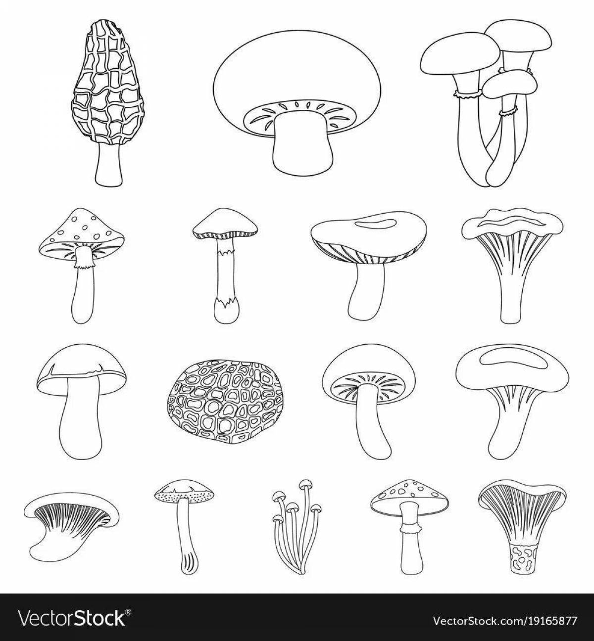 Terrible inedible mushrooms