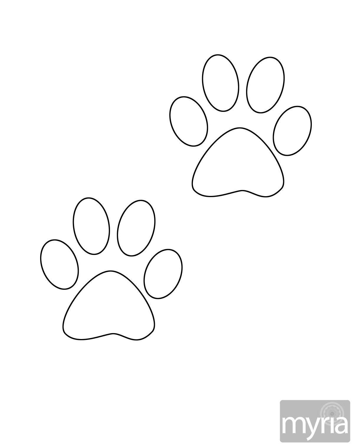 Fancy cat paw coloring book