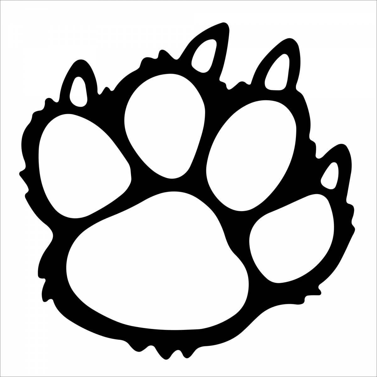 Gorgeous cat paw coloring book